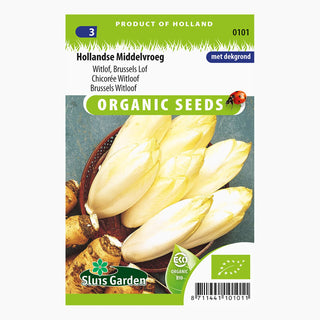 Sluis Garden Witlof Mechelse Middelvroeg SL0101