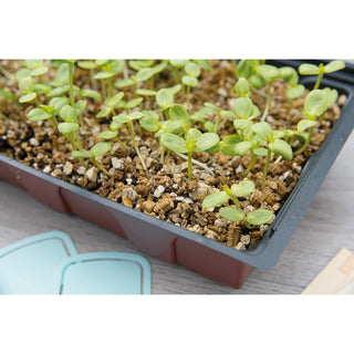 Vermiculiet 3.5L Sogo