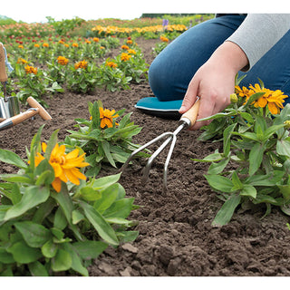 Sogo Handharkje 3-tands