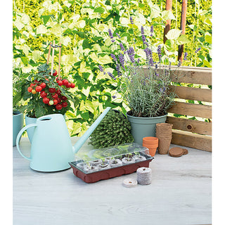 Sogo Kweekkas (incl. 10 Aardetabletten)