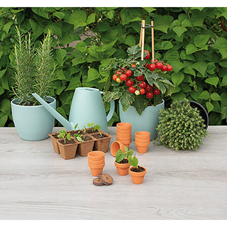 Sogo Stenen Terracotta Potjes 4/5cm (12)
