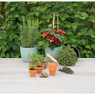 Sogo Stenen Terracotta Potjes 5/6cm (9)