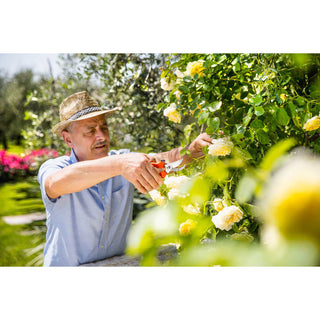 Stocker Inox Tuinschaar